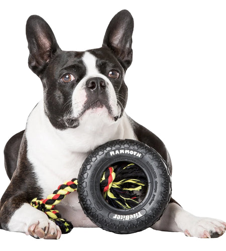 Tirebiter Original Rubber Dog Toy with Cottonblend Assorted Color Rope, Small 6"