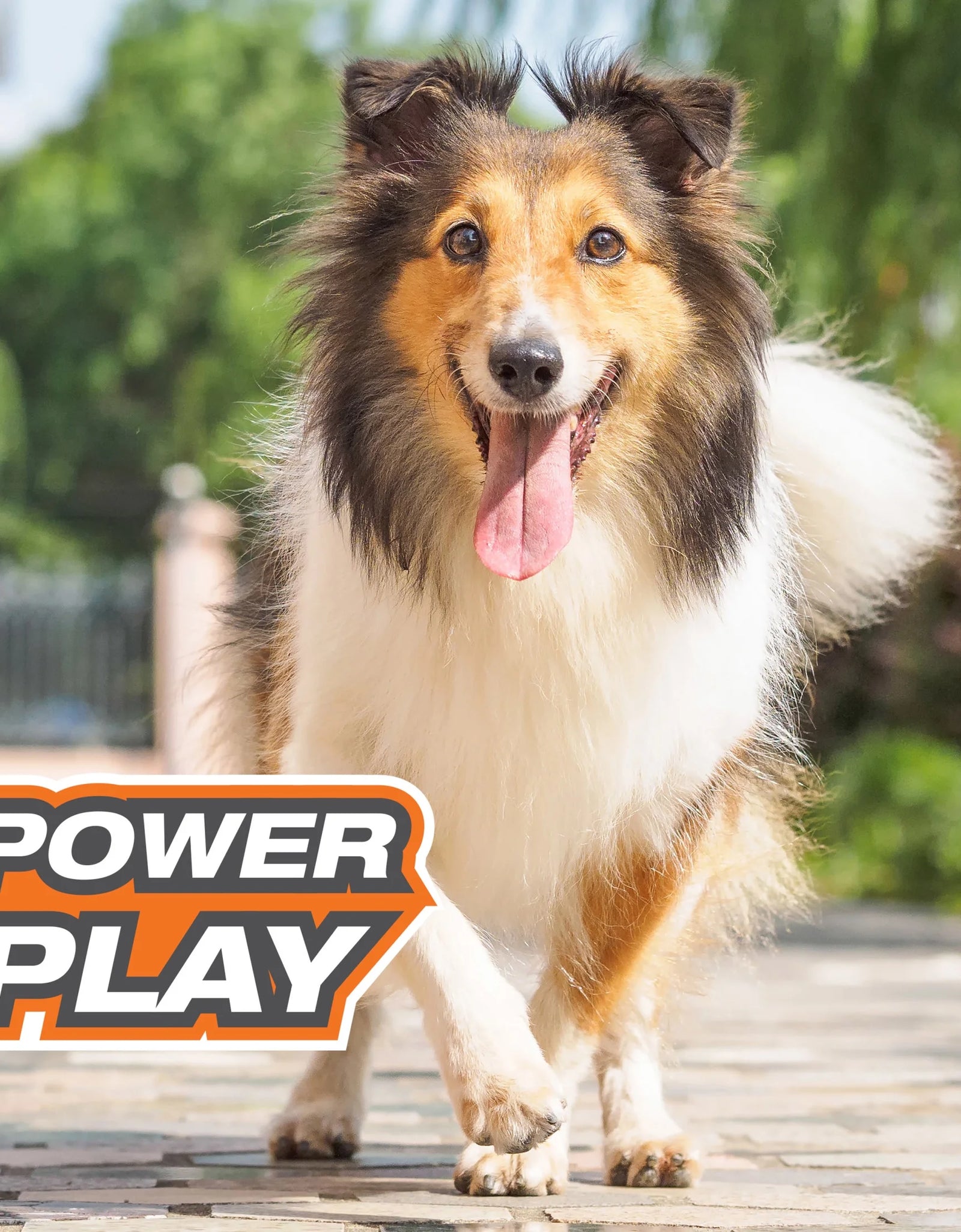Power Play Crazy Ball Dog Toy Large/Giant - up to 50 Lbs. (1 Count)